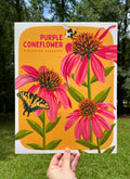 Purple Coneflower 11x14 Print