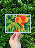 Study of Apricots 5x7 Print