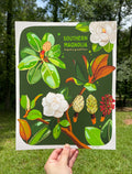 Southern Magnolia 11x14 Print