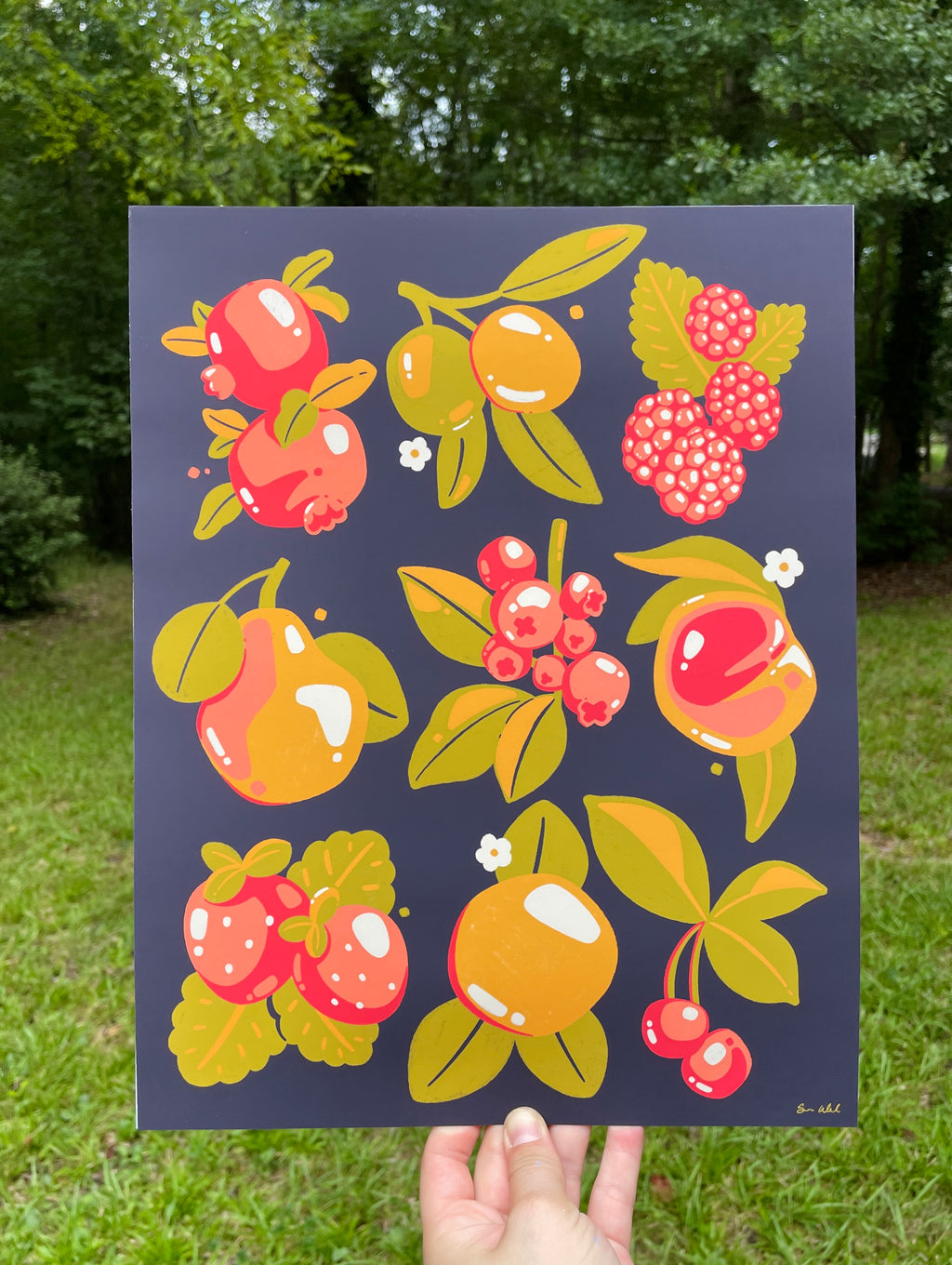 Summer Fruit 11x14 Print